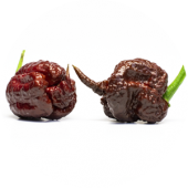 Carolina Reaper Choco
