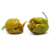 Carolina Reaper Mustard