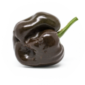 Chile de Onza