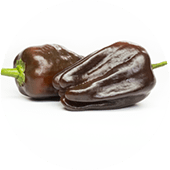 Habanero Chocolate