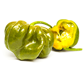Habanero Green