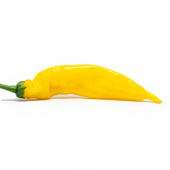 Inca Hot