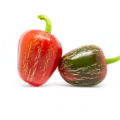 Jalapeno Dieghito
