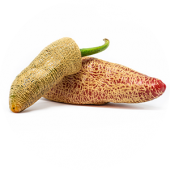 Jalapeno Farmers