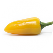 Jalapeno Yellow