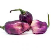 Pimenta Lisa