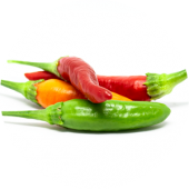 Tabasco