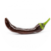 Thai Brown