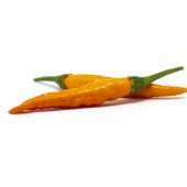 Thai Orange
