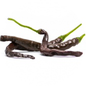 Thunder Cacho Brown