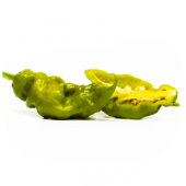 Trinidad Scorpion Green