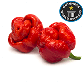 Trini. Scorpion Moruga