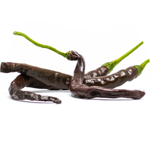 Thunder Cacho Brown