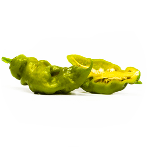 Trinidad Scorpion Green