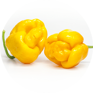 Trini. S. Moruga Yellow